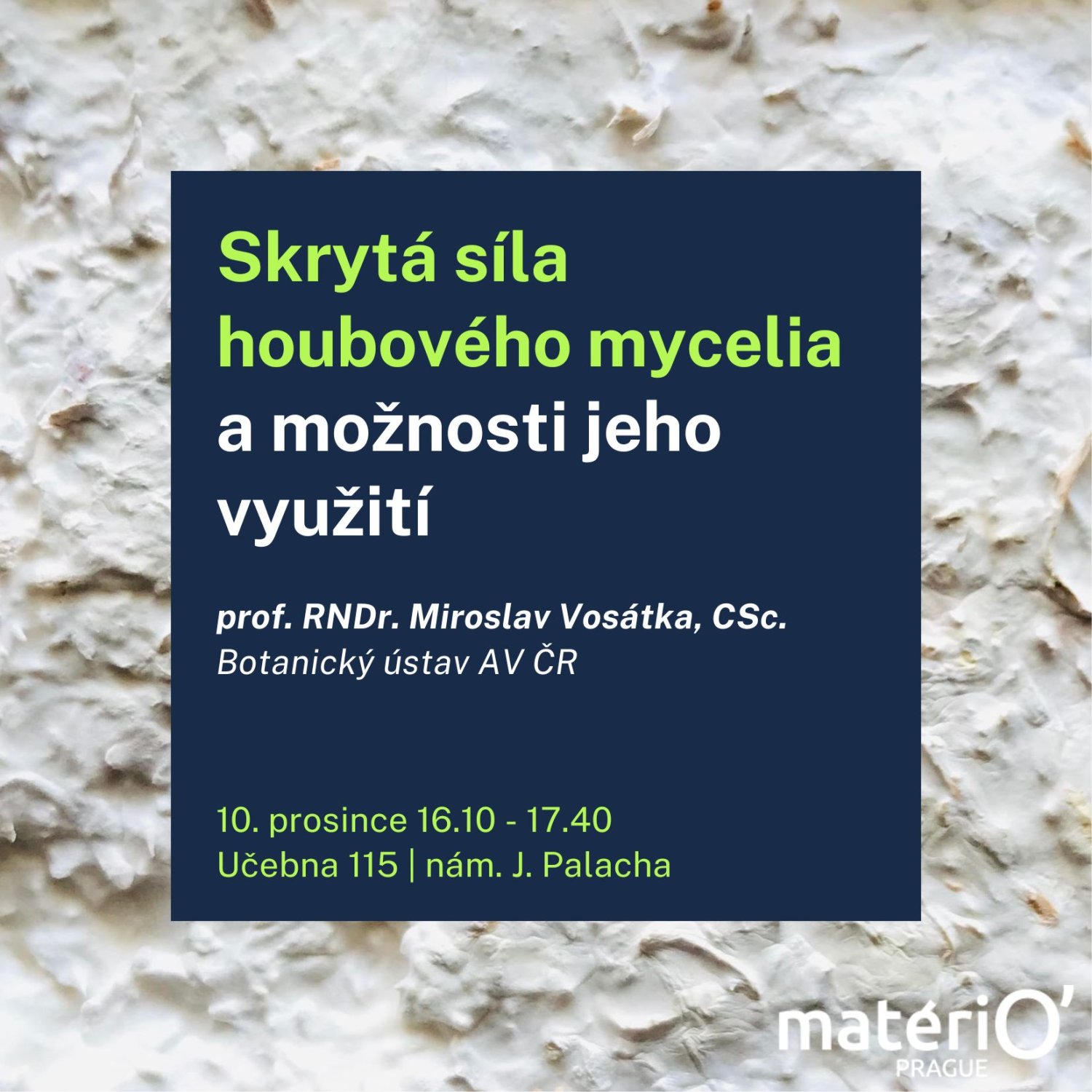 Skrytá síla houbového mycelia a možnosti jeho využití